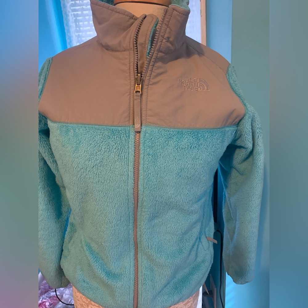 Blue North Face Jacket